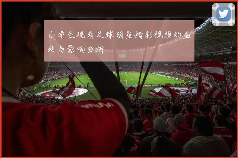 小学生观看足球明星精彩视频的益处与影响分析