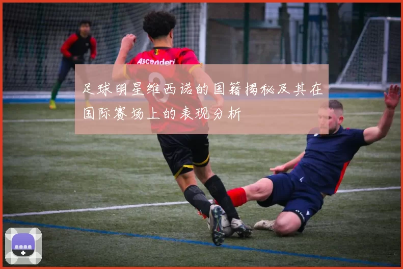 足球明星维西诺的国籍揭秘及其在国际赛场上的表现分析