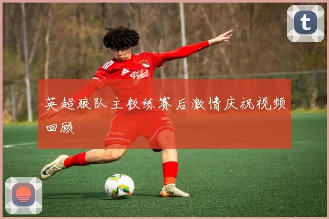 英超狼队主教练赛后激情庆祝视频回顾