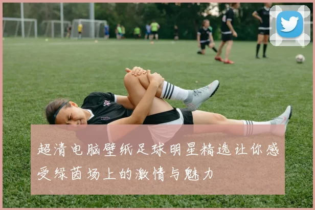 超清电脑壁纸足球明星精选让你感受绿茵场上的激情与魅力