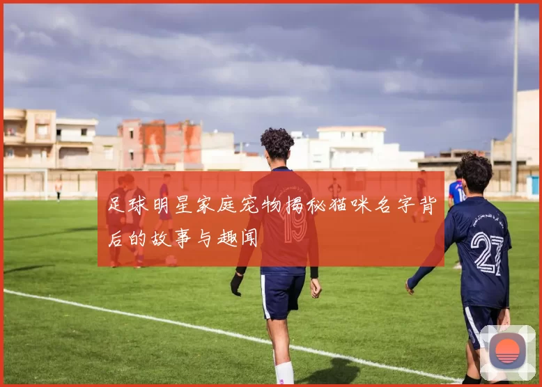 足球明星家庭宠物揭秘猫咪名字背后的故事与趣闻