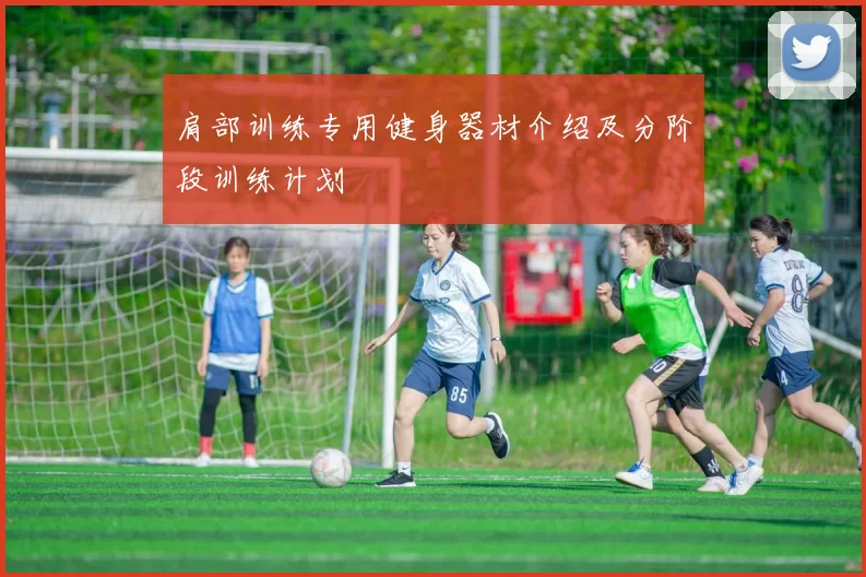 肩部训练专用健身器材介绍及分阶段训练计划