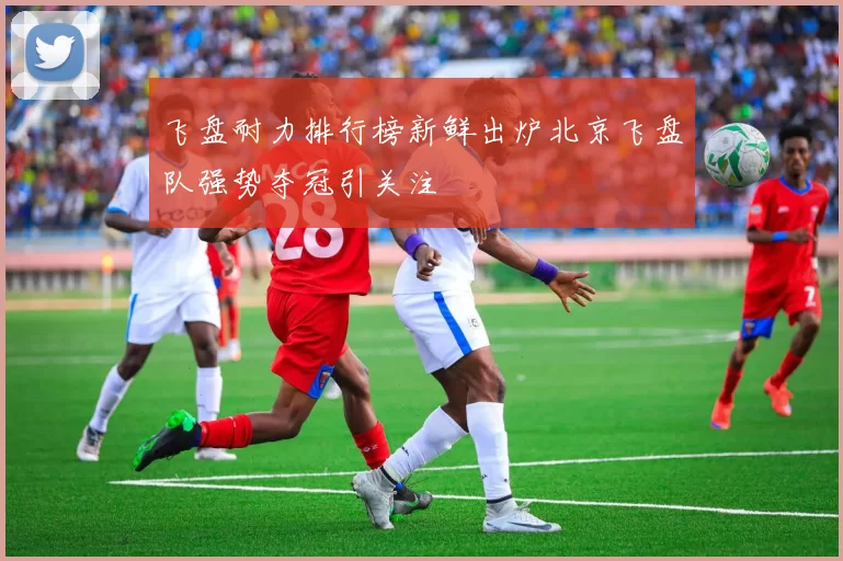 飞盘耐力排行榜新鲜出炉北京飞盘队强势夺冠引关注