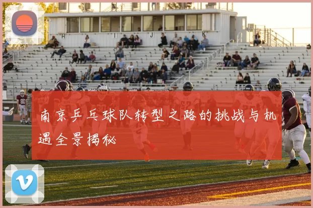 南京乒乓球队转型之路的挑战与机遇全景揭秘