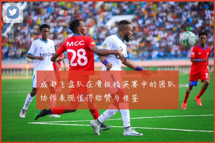 成都飞盘队在滑板精英赛中的团队协作表现值得称赞与借鉴