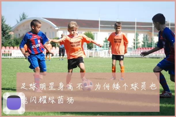 足球明星身高不一为何矮个球员也能闪耀绿茵场