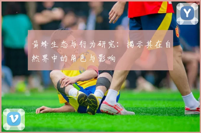 黄蜂生态与行为研究：揭示其在自然界中的角色与影响