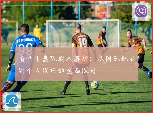 南京飞盘队战术解析：从团队配合到个人技巧的全面探讨