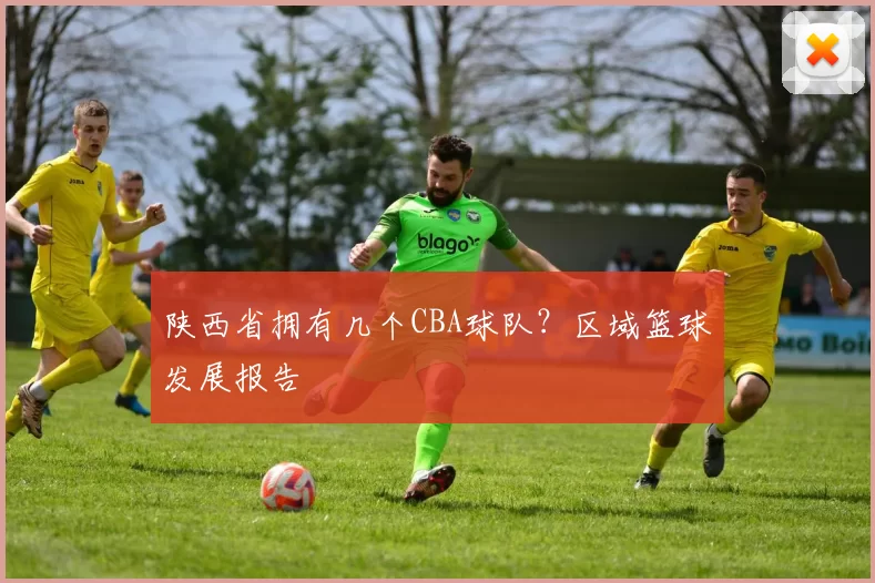 陕西省拥有几个CBA球队？区域篮球发展报告
