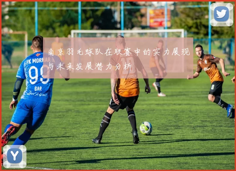 南京羽毛球队在联赛中的实力展现与未来发展潜力分析