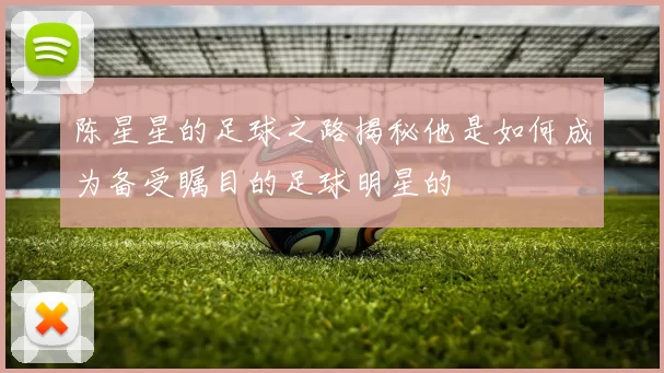 陈星星的足球之路揭秘他是如何成为备受瞩目的足球明星的