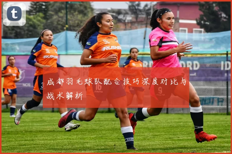 成都羽毛球队配合技巧深度对比与战术解析