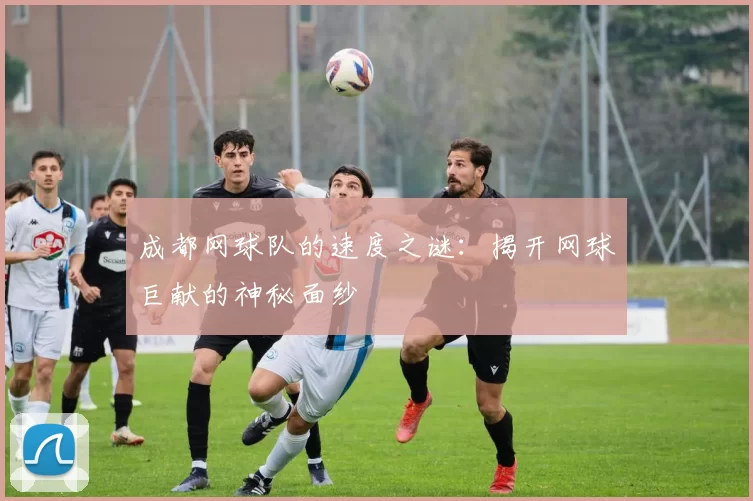 成都网球队的速度之谜：揭开网球巨献的神秘面纱