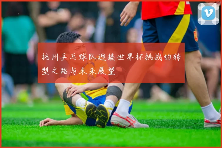 杭州乒乓球队迎接世界杯挑战的转型之路与未来展望