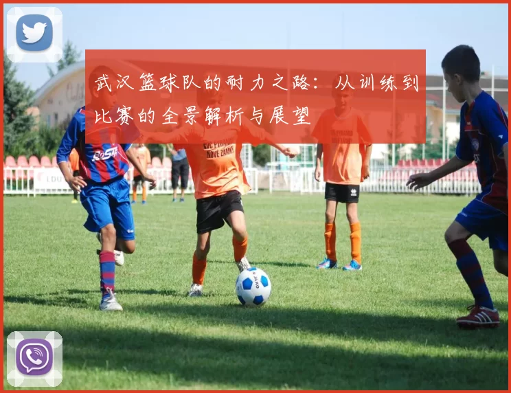 武汉篮球队的耐力之路：从训练到比赛的全景解析与展望