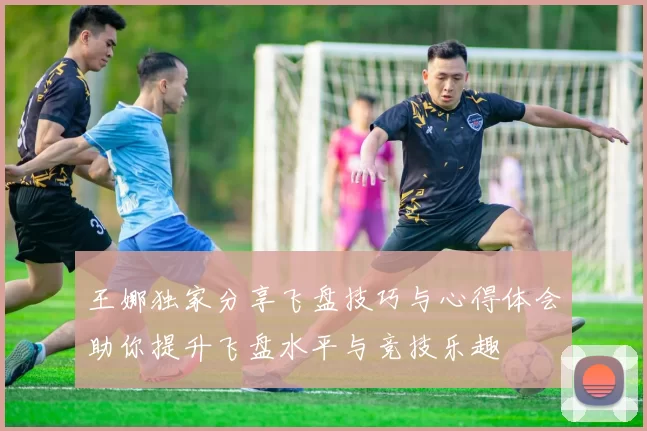 王娜独家分享飞盘技巧与心得体会助你提升飞盘水平与竞技乐趣