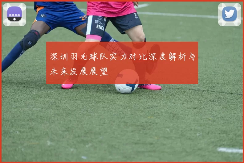 深圳羽毛球队实力对比深度解析与未来发展展望