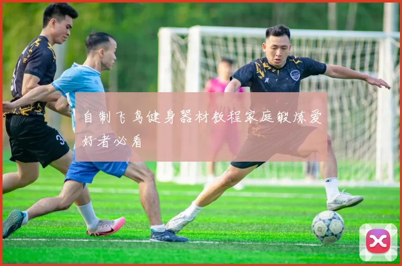 自制飞鸟健身器材教程家庭锻炼爱好者必看