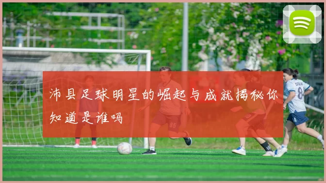 沛县足球明星的崛起与成就揭秘你知道是谁吗