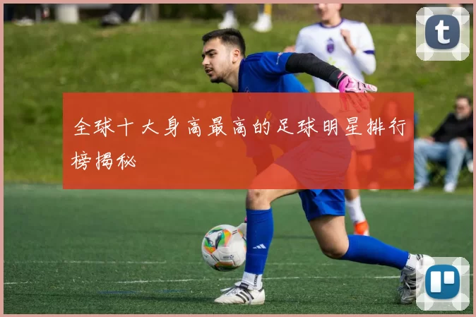 全球十大身高最高的足球明星排行榜揭秘