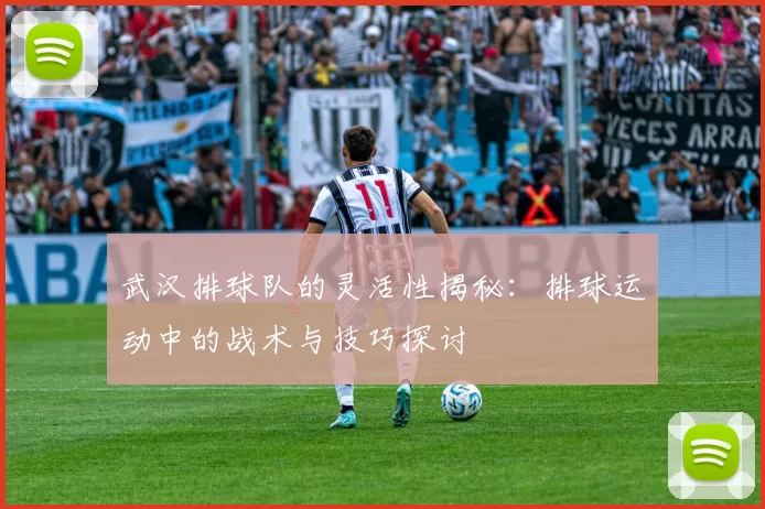 武汉排球队的灵活性揭秘：排球运动中的战术与技巧探讨