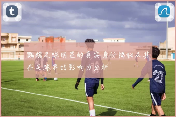 鹦鹉足球明星的真实身份揭秘及其在足球界的影响力分析