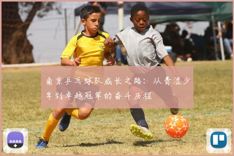 南京乒乓球队成长之路：从青涩少年到卓越冠军的奋斗历程