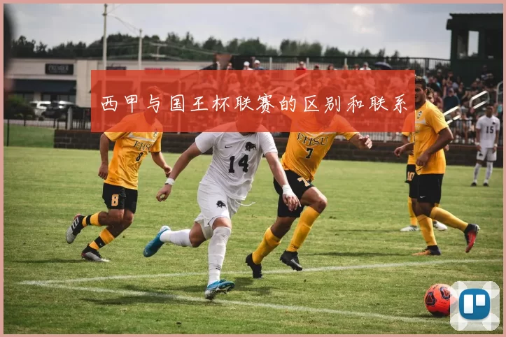 西甲与国王杯联赛的区别和联系