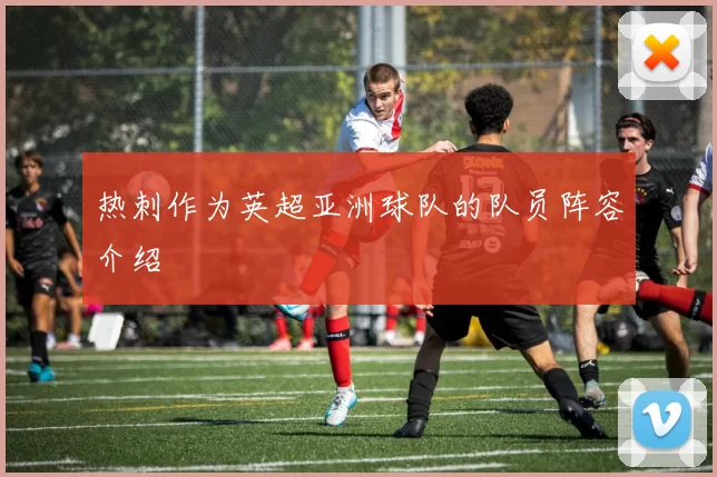 热刺作为英超亚洲球队的队员阵容介绍