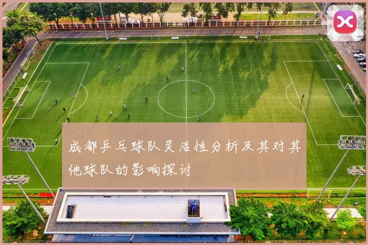 成都乒乓球队灵活性分析及其对其他球队的影响探讨