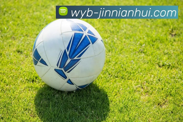 今年会jinnianhui金字招牌服务体系